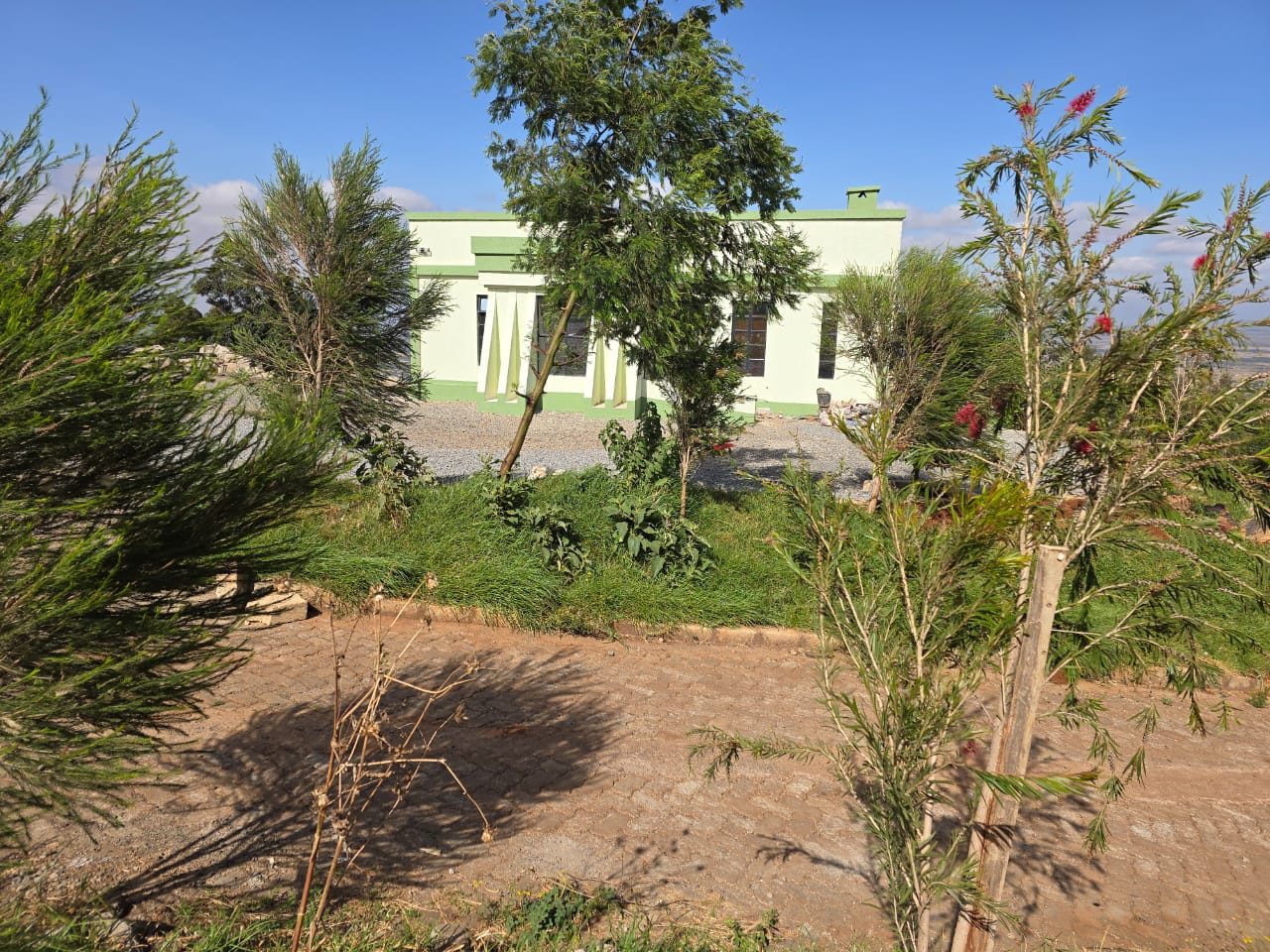 A garden cottage behind young plantings, looking across the gardens.